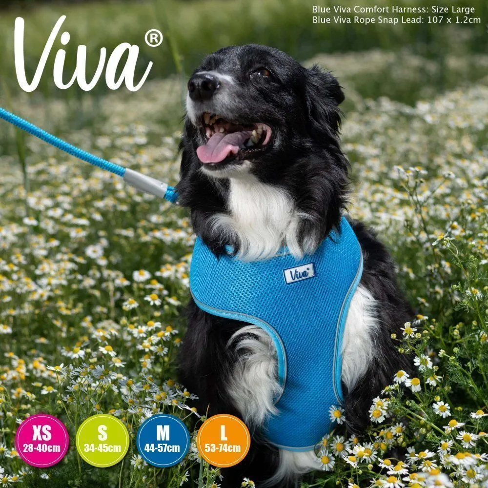 Ancol Viva Blue Comfort Mesh Dog Harness