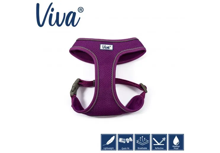 Ancol - Viva Comfort Mesh Harness - Purple - Small (34-45cm)