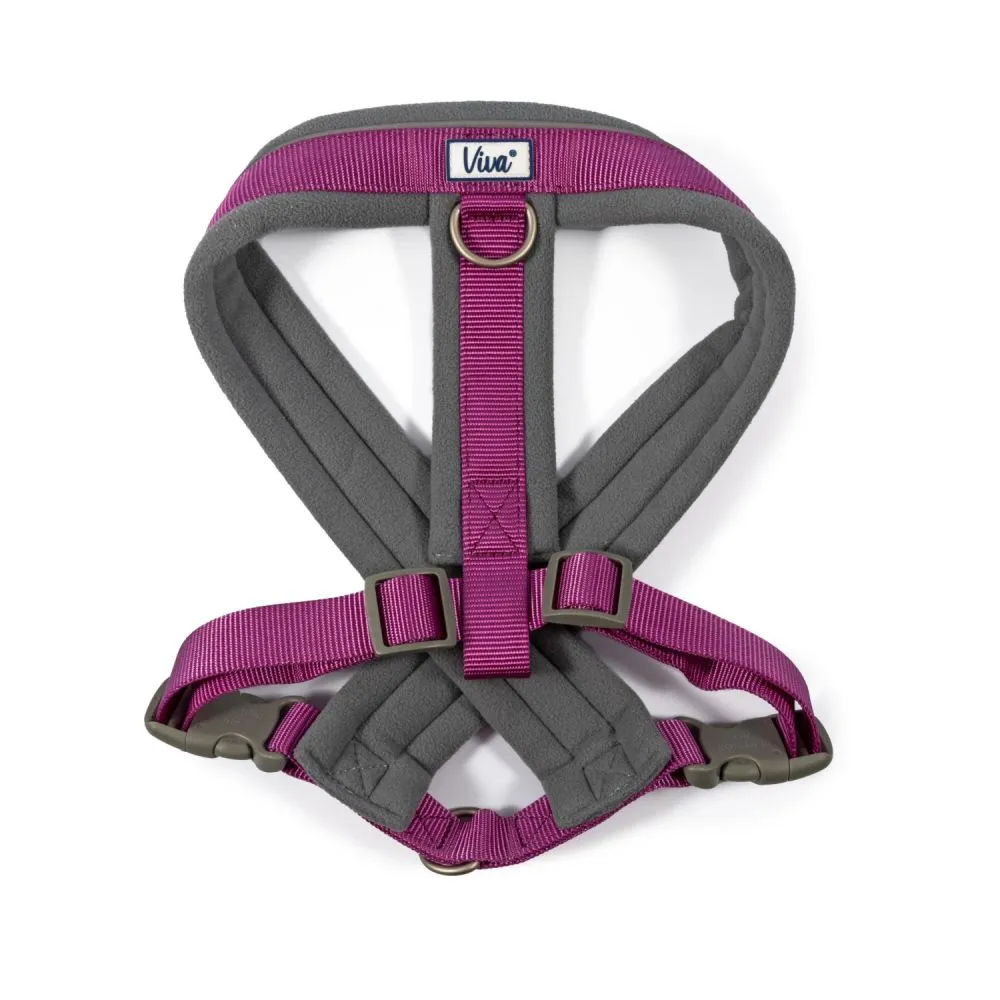 Ancol Viva Large Purple Padded Dog Harness