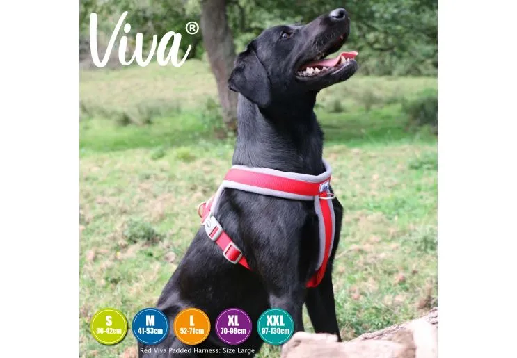 Ancol - Viva Nylon Padded Harness - Black - Large (52-71cm)