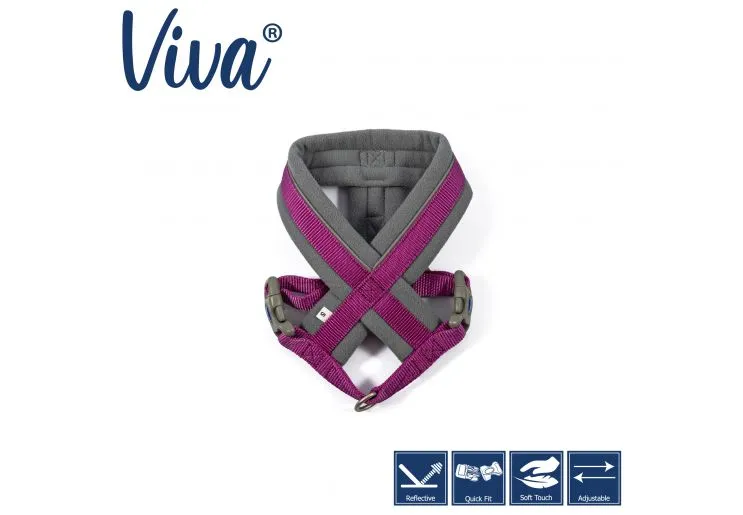 Ancol - Viva Nylon Padded Harness - Purple - Medium (41-53cm)