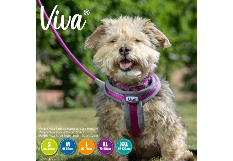 Ancol - Viva Nylon Padded Harness - Purple - Medium (41-53cm)