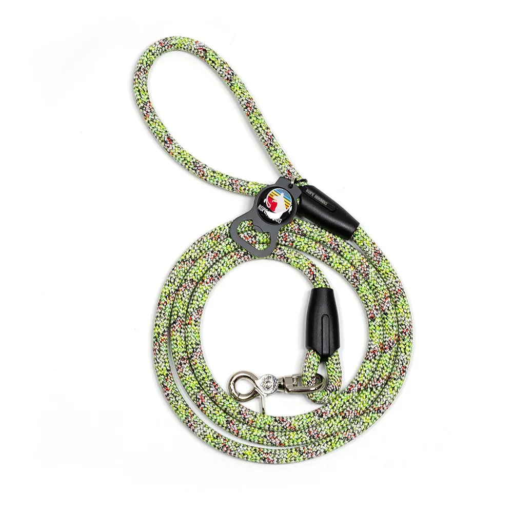 Classic Dog Leash - Multicolored