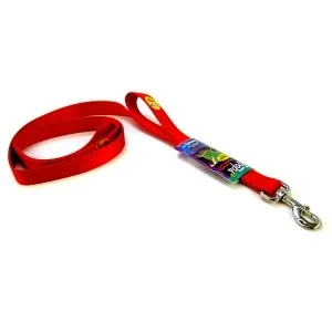 Coastal 6ft Double-Handled Loop Leash