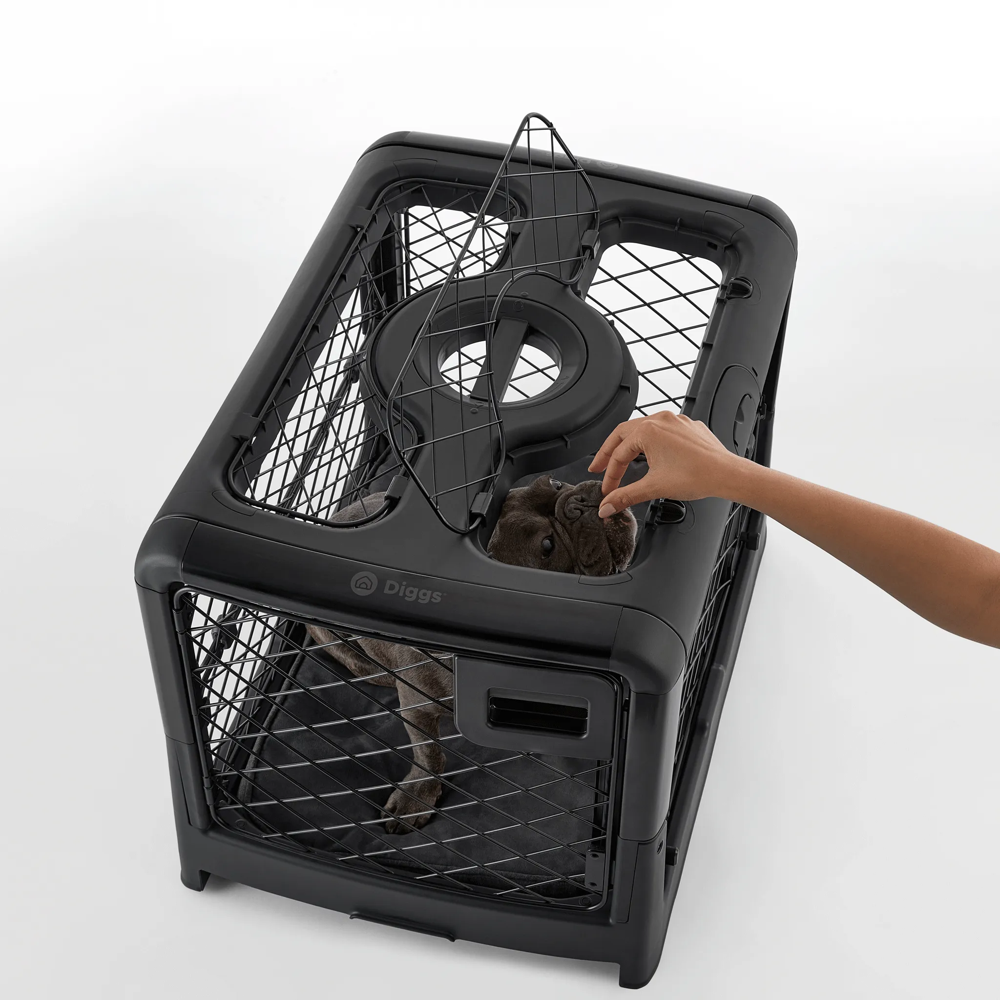 Diggs Revol Collapsible Dog Crate - Charcoal