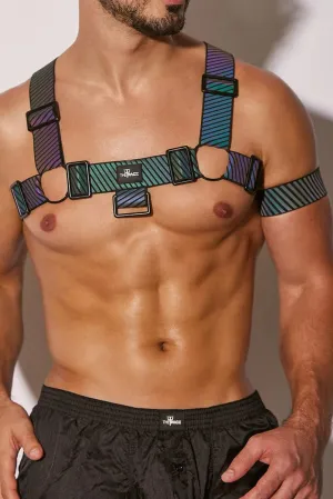 FlashTECH Esau Harness