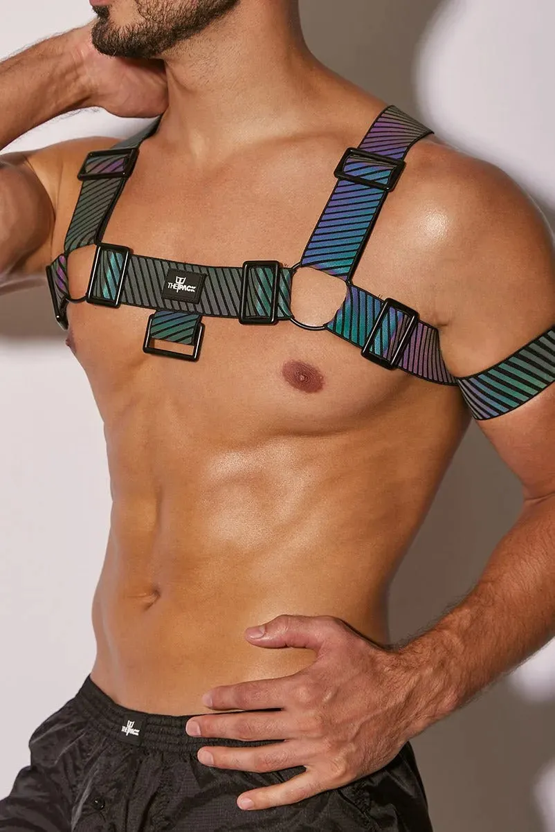 FlashTECH Esau Harness