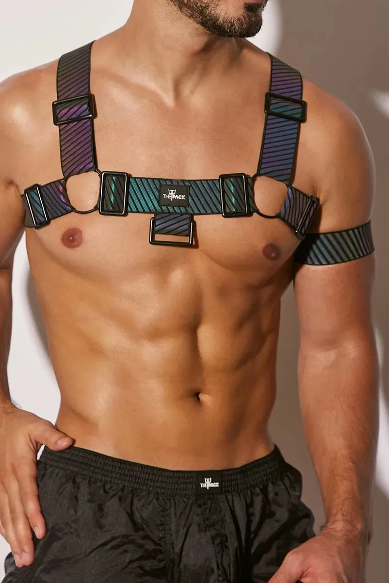 FlashTECH Esau Harness