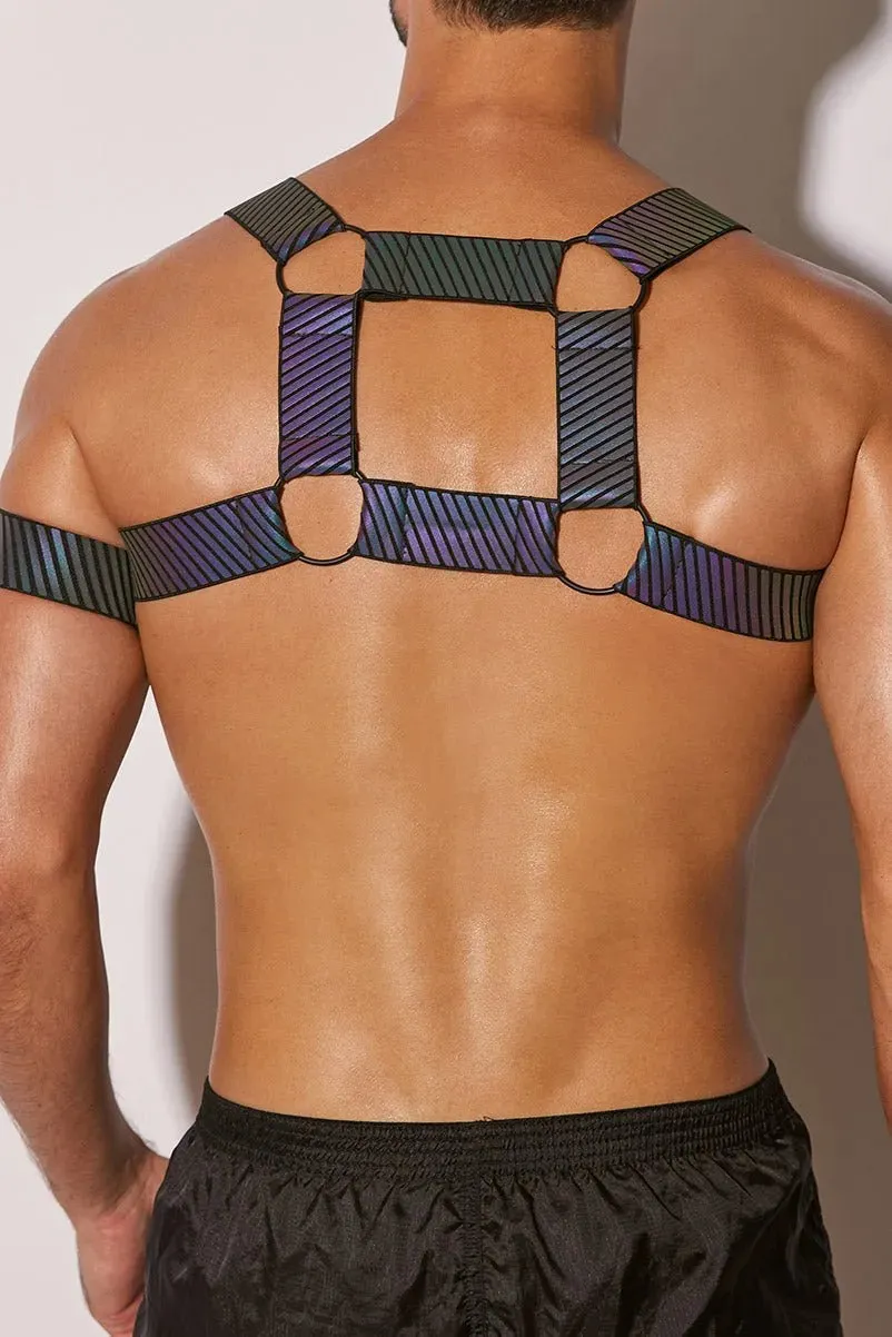 FlashTECH Esau Harness