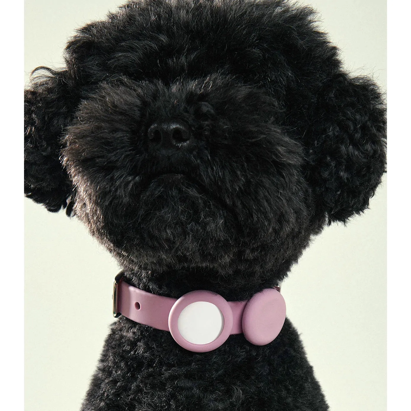 frank green Blushed Dog Safety Light Medium