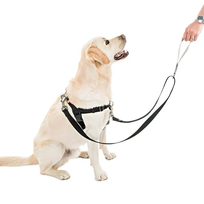 Freedom No-Pull Harness & Leash (Neon Orange/Black) For Dogs