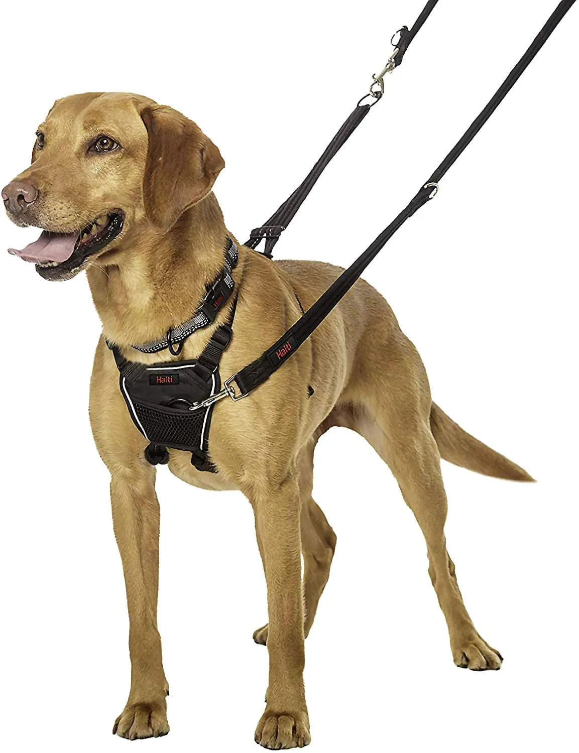 Halti No Pull Harness