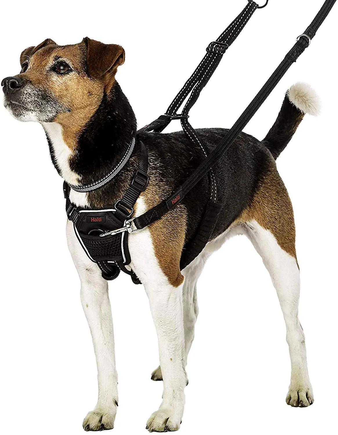 Halti No Pull Harness