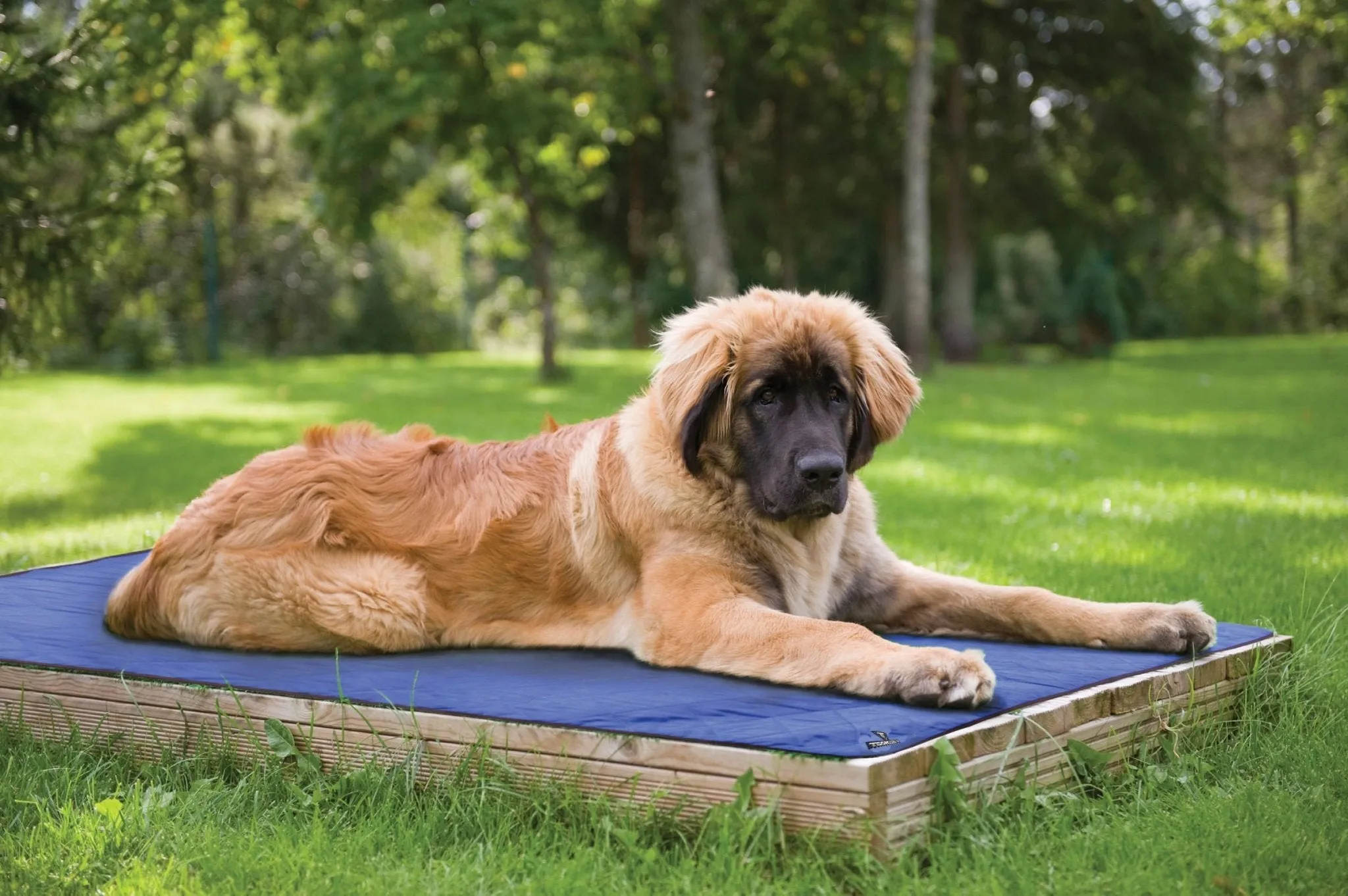 HyperKewl Evaporative Cooling Pad for Dogs