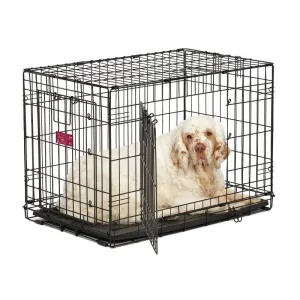 iCrate Double Door Dog Crate