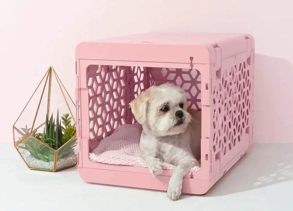 Kind Tail Pawd Crate (Medium- Rose)