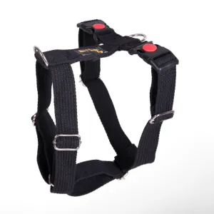 Let's Wag H Harness for Dogs (Black)