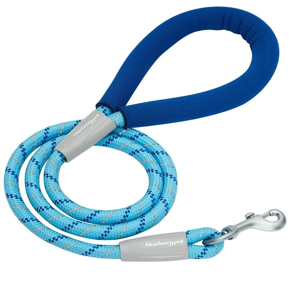 Neoprene Handle Rope Leash in Diagonal Stripe, 4 ft