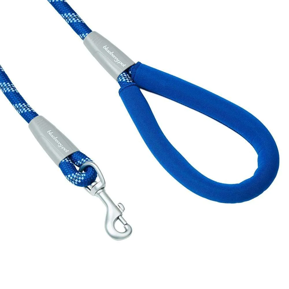 Neoprene Handle Rope Leash in Diagonal Stripe, 4 ft