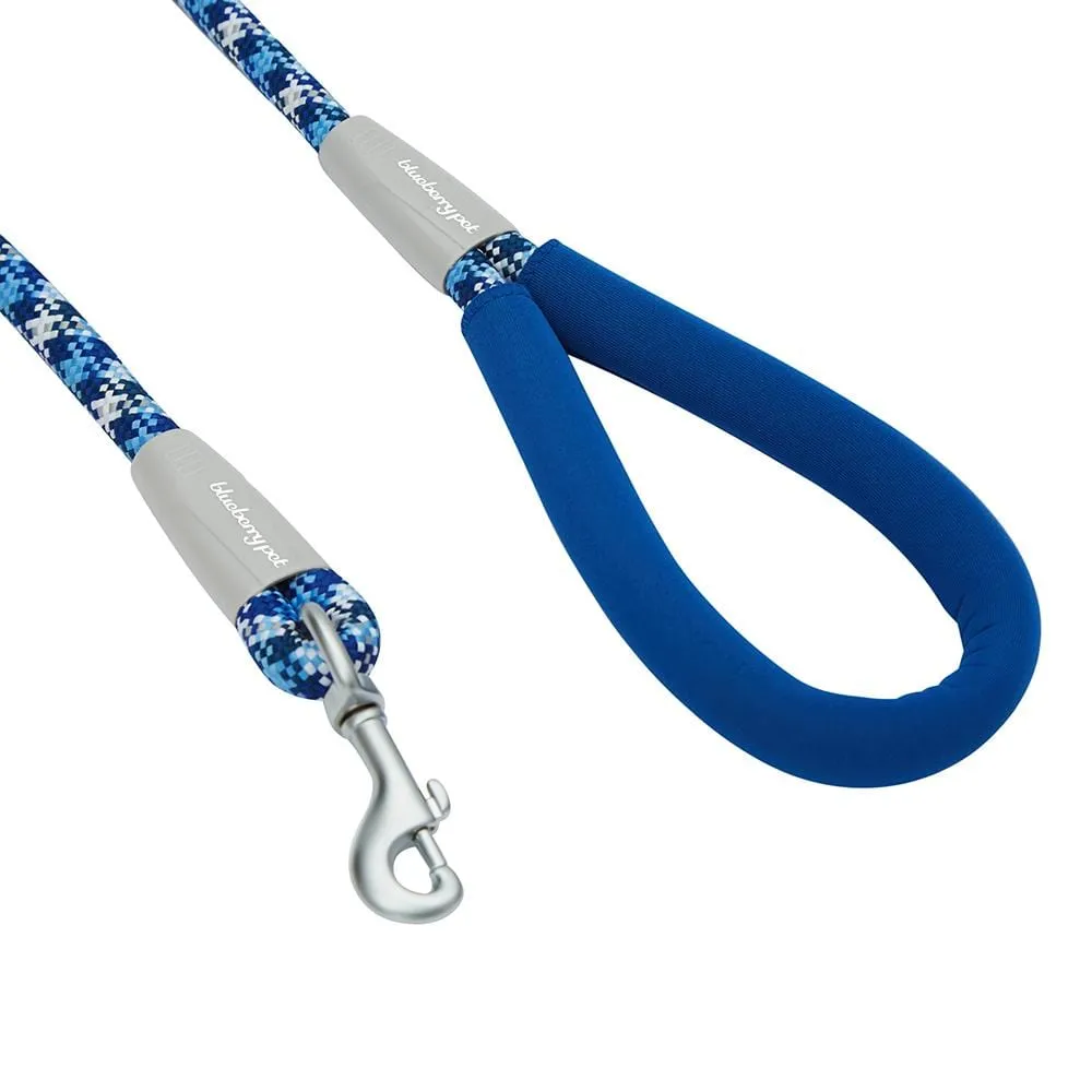 Neoprene Handle Rope Leash in Diagonal Stripe, 4 ft