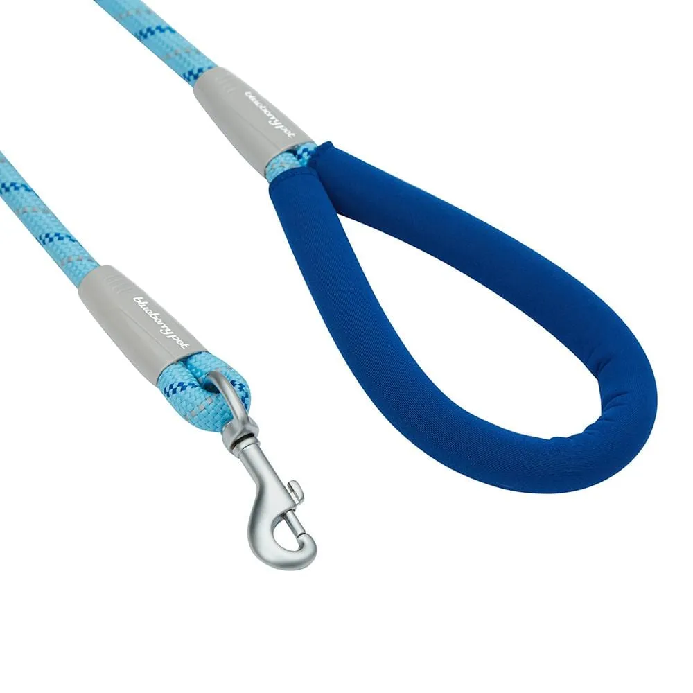 Neoprene Handle Rope Leash in Diagonal Stripe, 4 ft