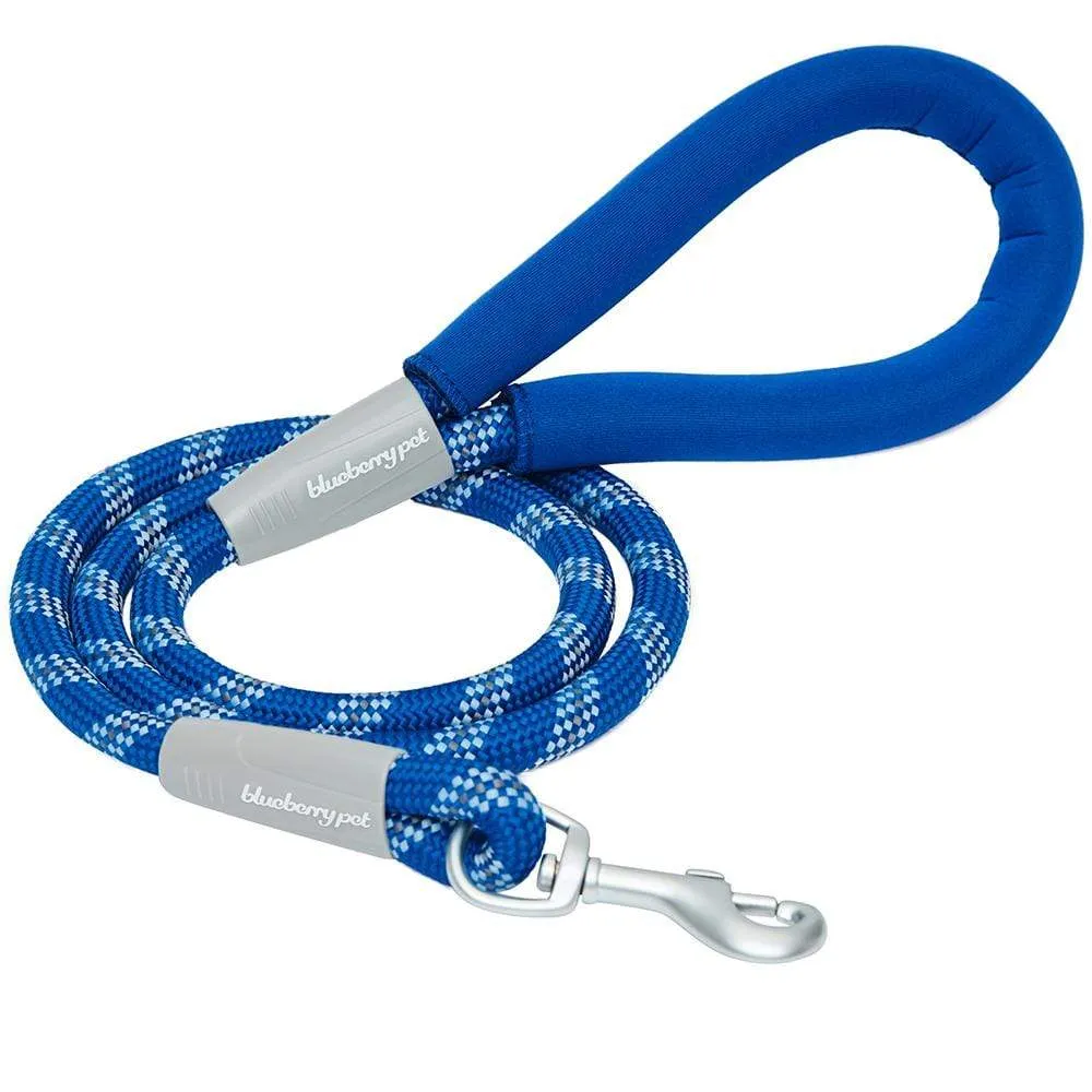 Neoprene Handle Rope Leash in Diagonal Stripe, 4 ft