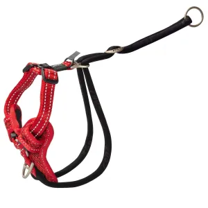 Rogz Control Stop Pull Dog Harness Red Medium