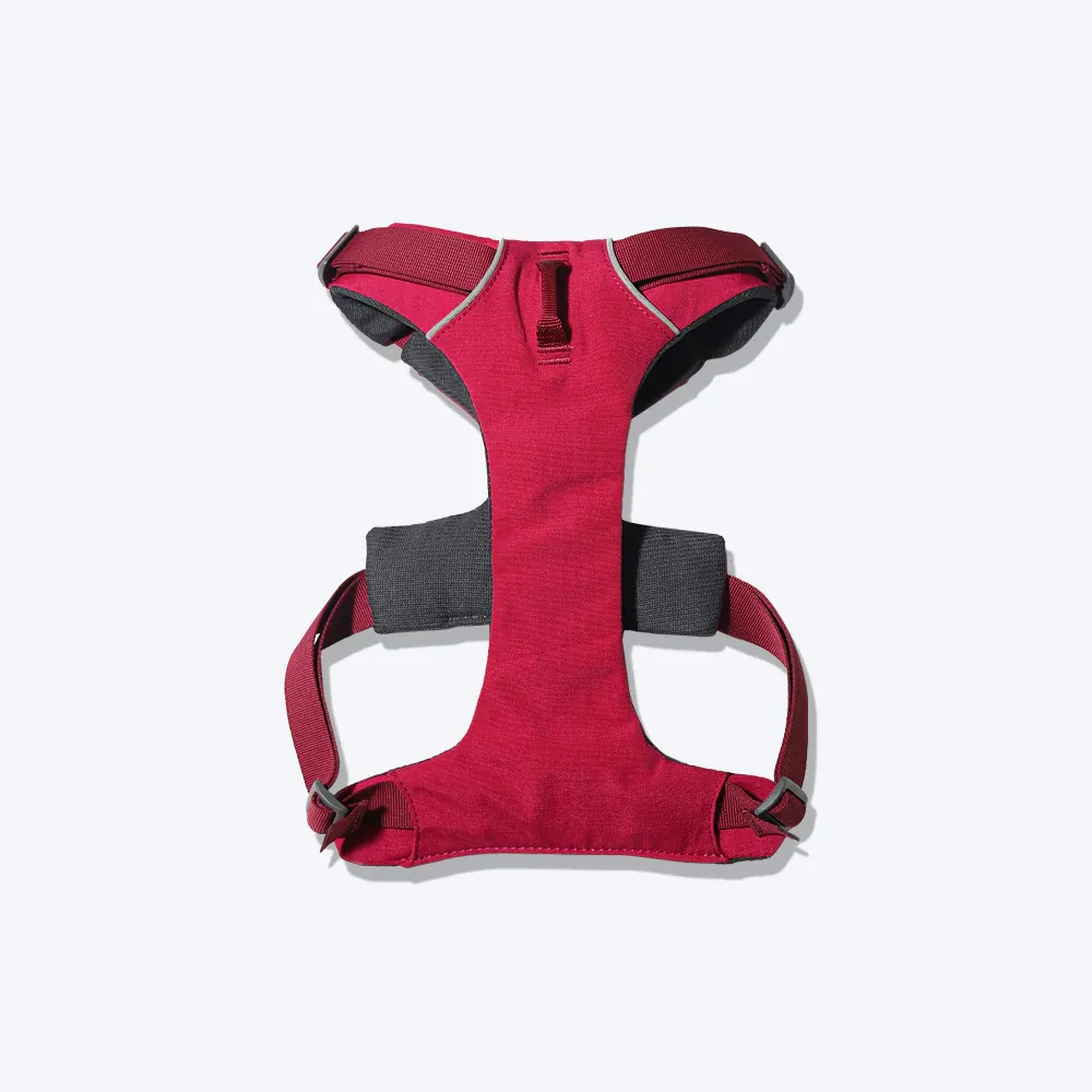 Ruffwear Front Range Harness for Dogs (Red Sumac)