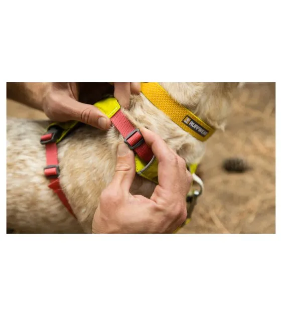 Ruffwear Hi & Light™ Lightweight Dog Harness (Blue Dusk)