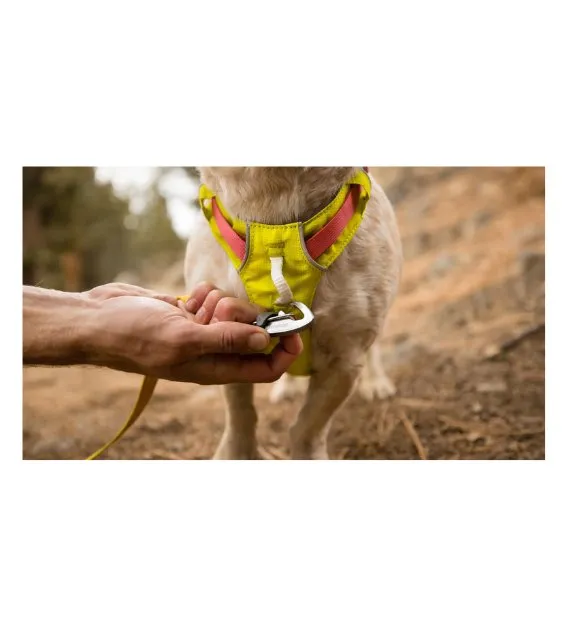 Ruffwear Hi & Light™ Lightweight Dog Harness (Salmon Pink)