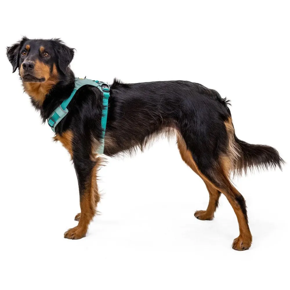 Ruffwear Hi & Light Lightweight Low-Profile Dog Harness (Blue Dusk)