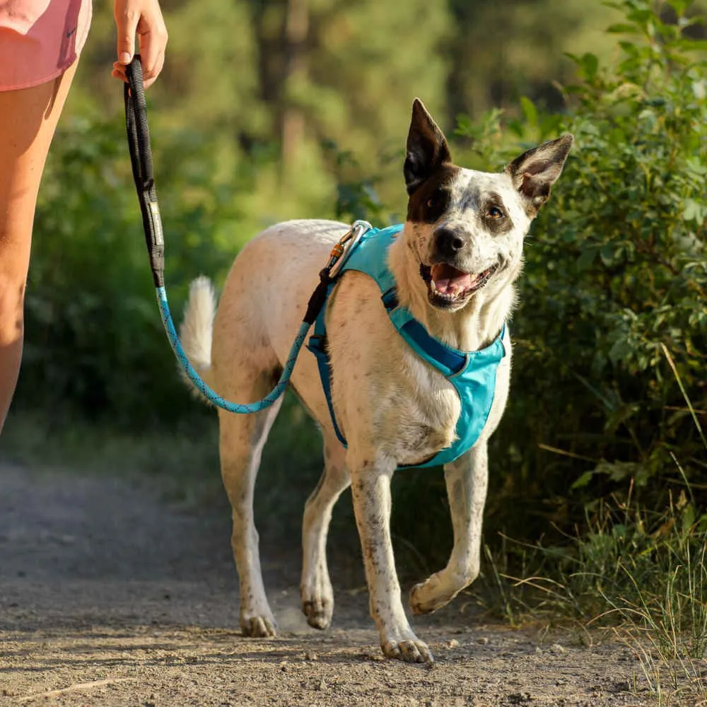 Ruffwear Hi & Light Lightweight Low-Profile Dog Harness (Sage Green)