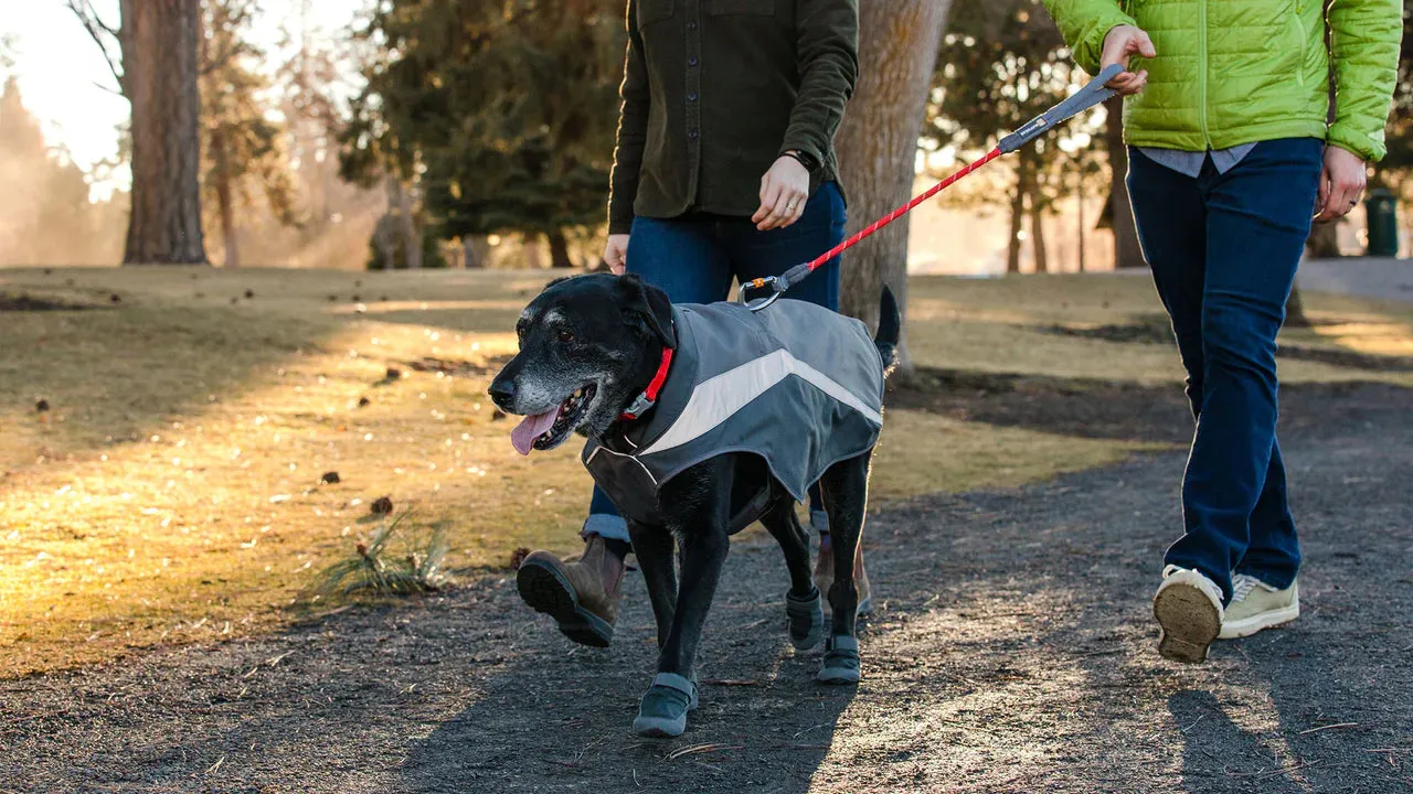 Ruffwear Lumenglow High-Vis Dog Jacket