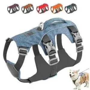 Shiny Night Glow Dog Harness for Supreme Safety