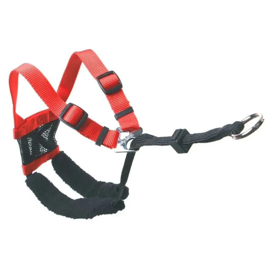 Sporn Non-Pulling Mesh Harness, Small