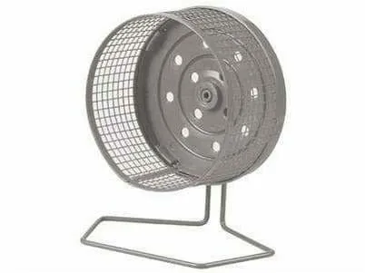 TRAINING WHEEL - XL GREY