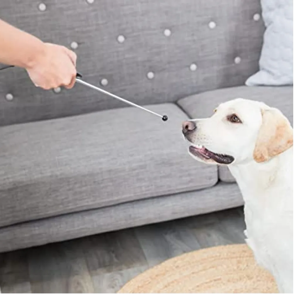 Trixie Target Stick with Clicker Button Retractable Toy for Dogs and Cats (Grey)